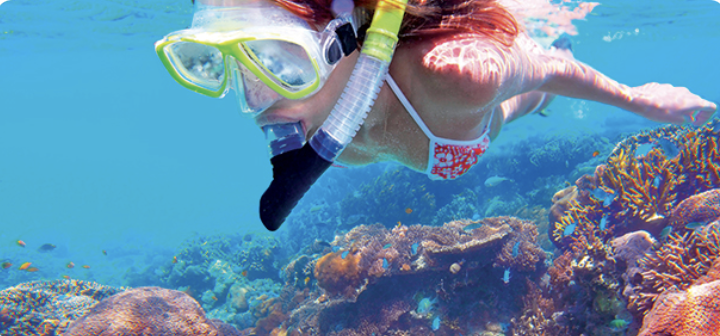 Egypt - šnorchlování