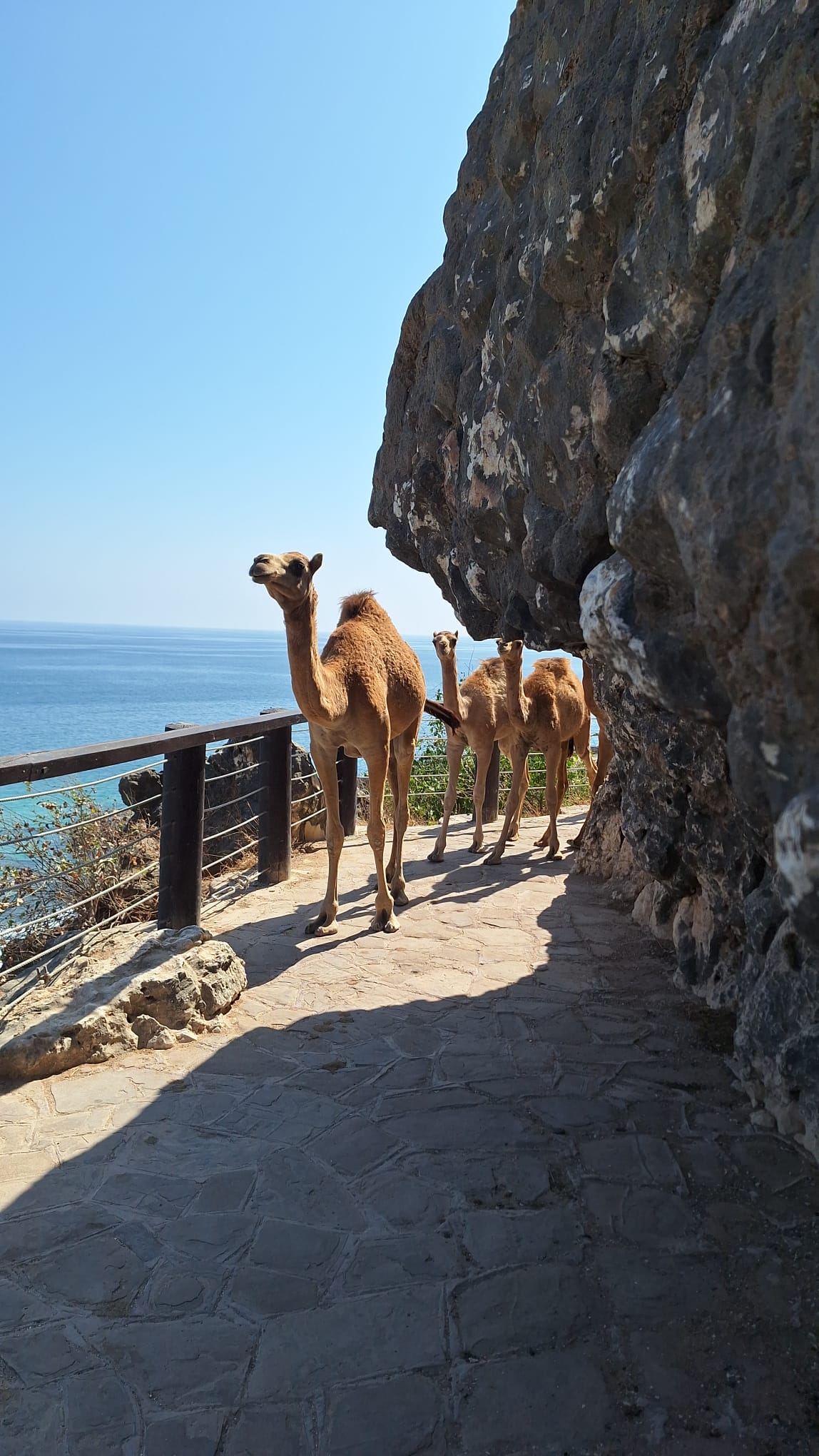 Omán - výlet na západní pobřeží