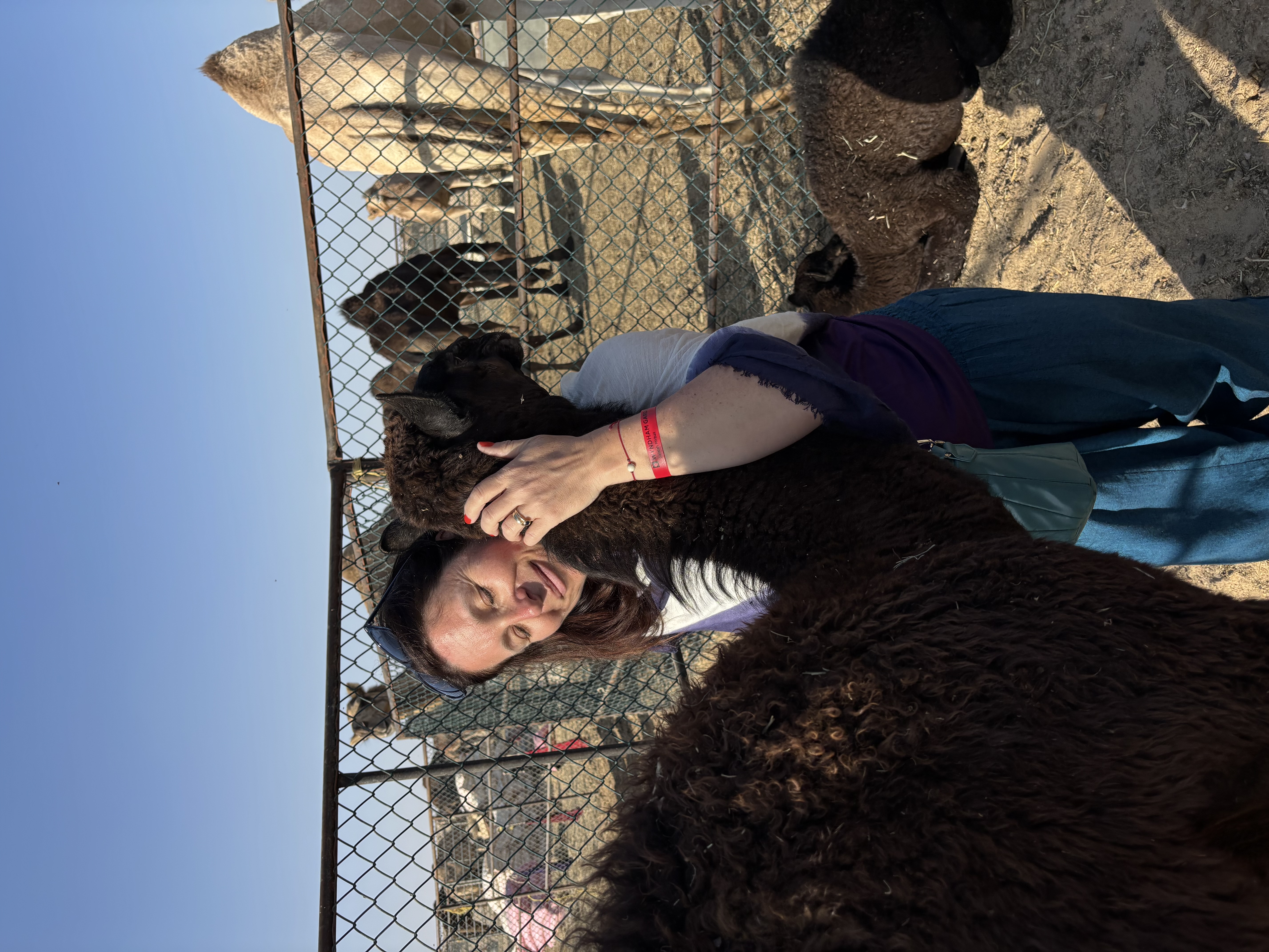 Výlet do pouště Empty Quarter s večeří - foto 4