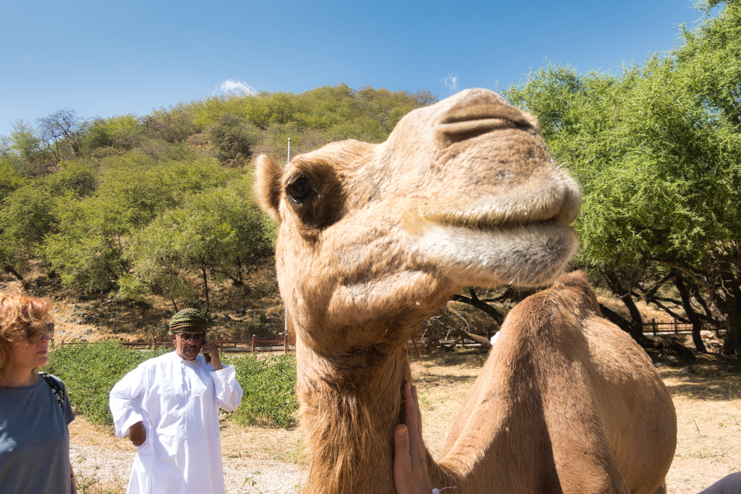 Omán - výlet na západní pobřeží - foto 2