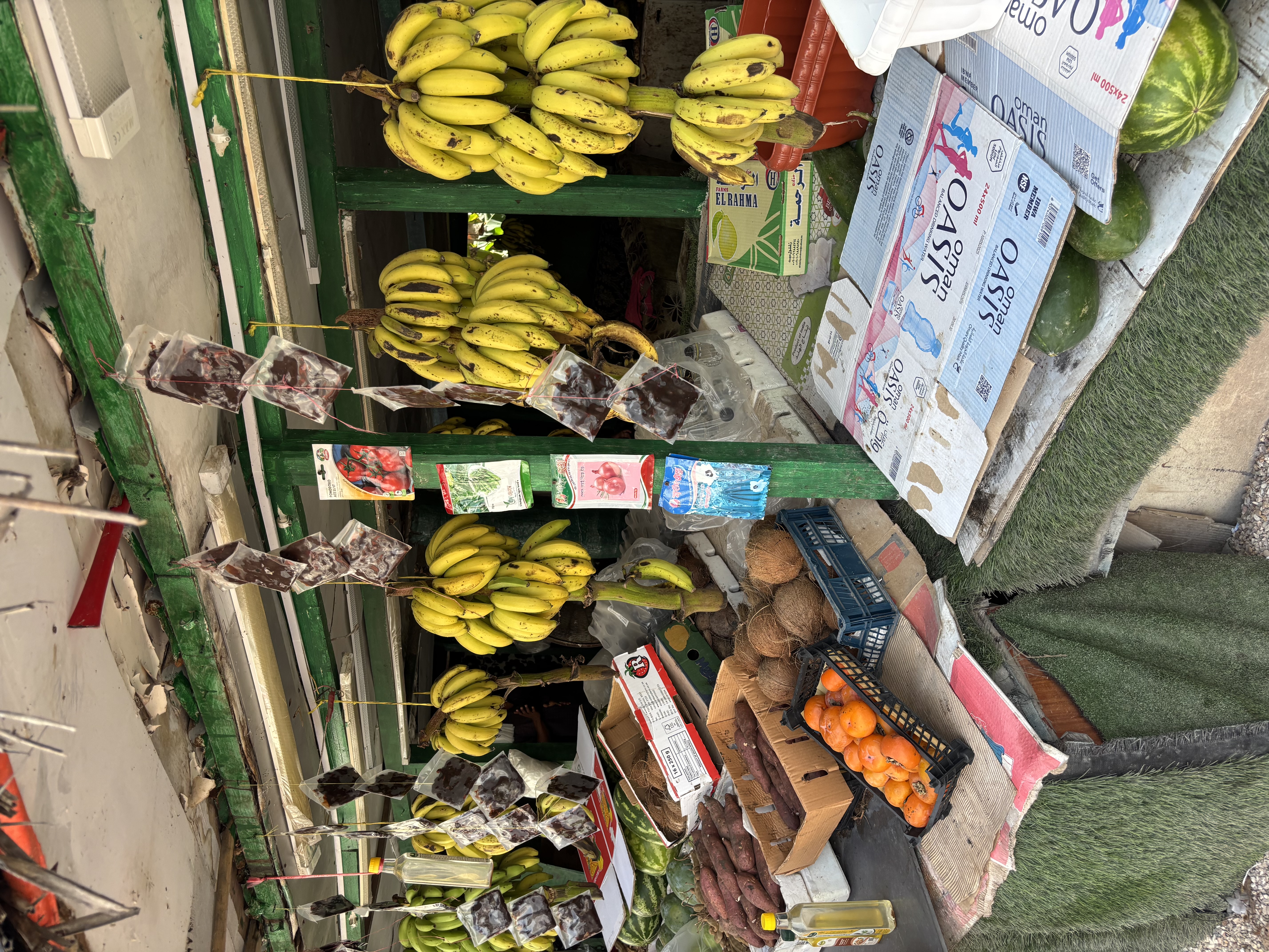 Omán - výlet na západní pobřeží - foto 3