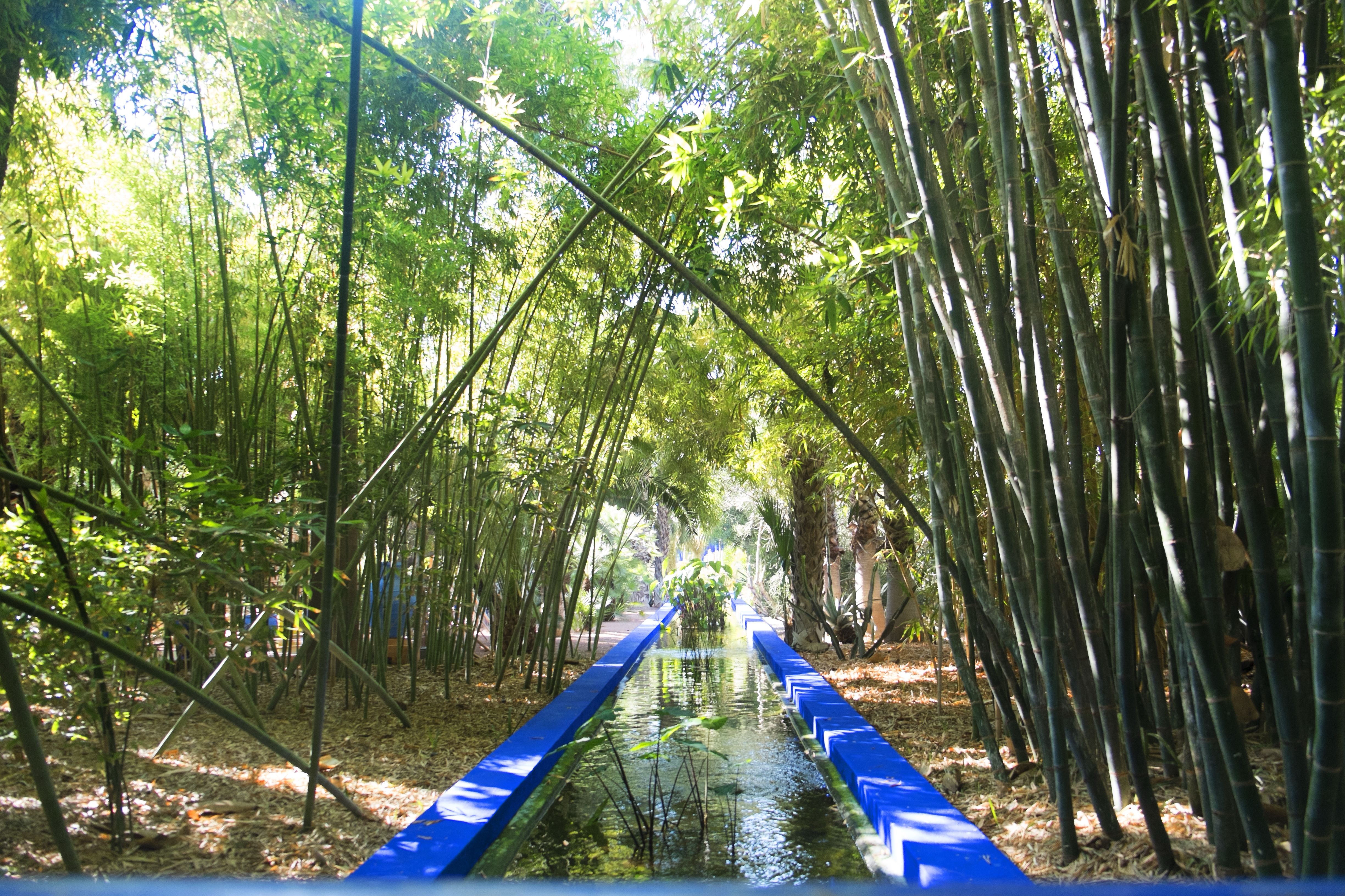 Jardin Majorelle v Marrákeši - foto 1