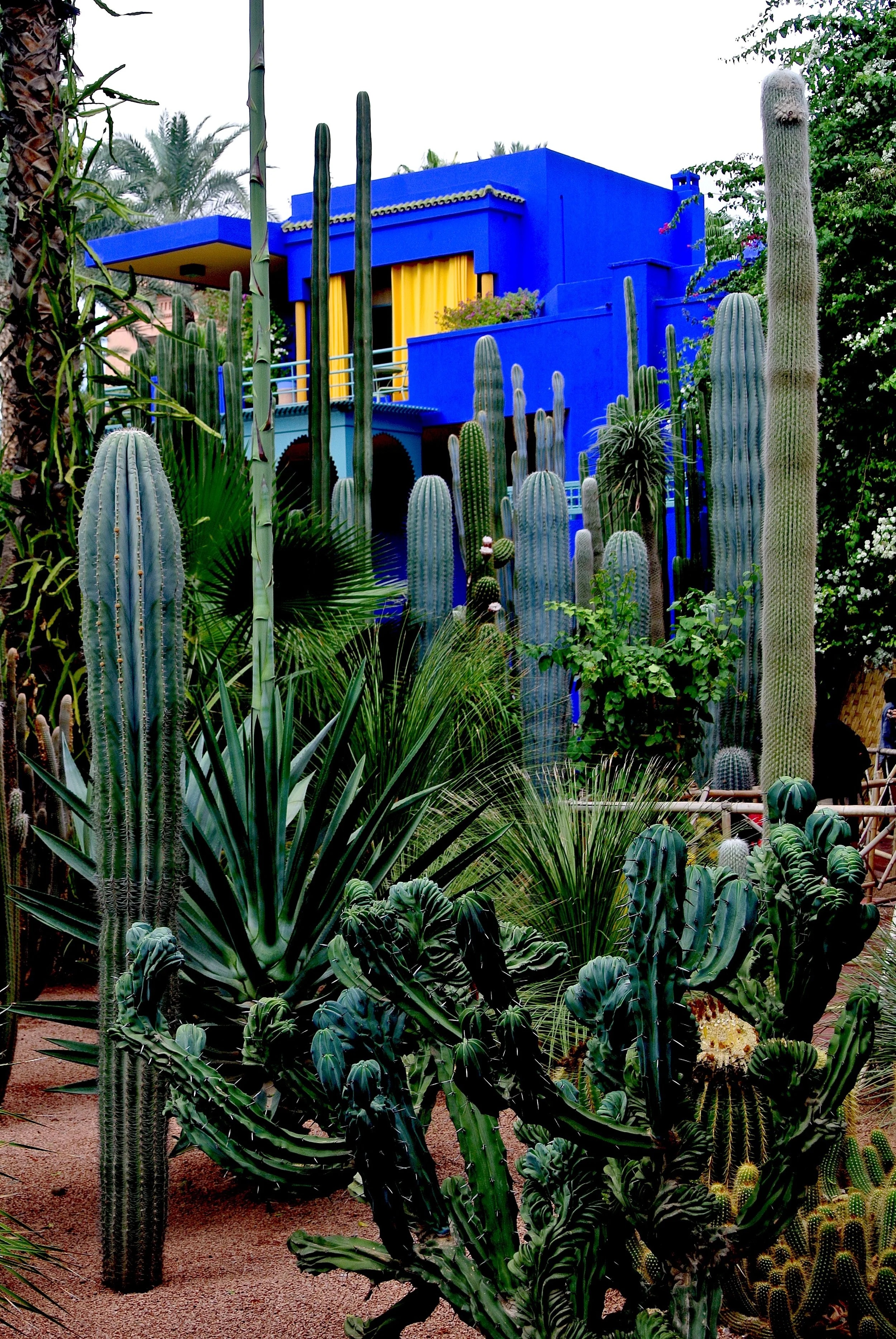 Jardin Majorelle v Marrákeši - foto 2