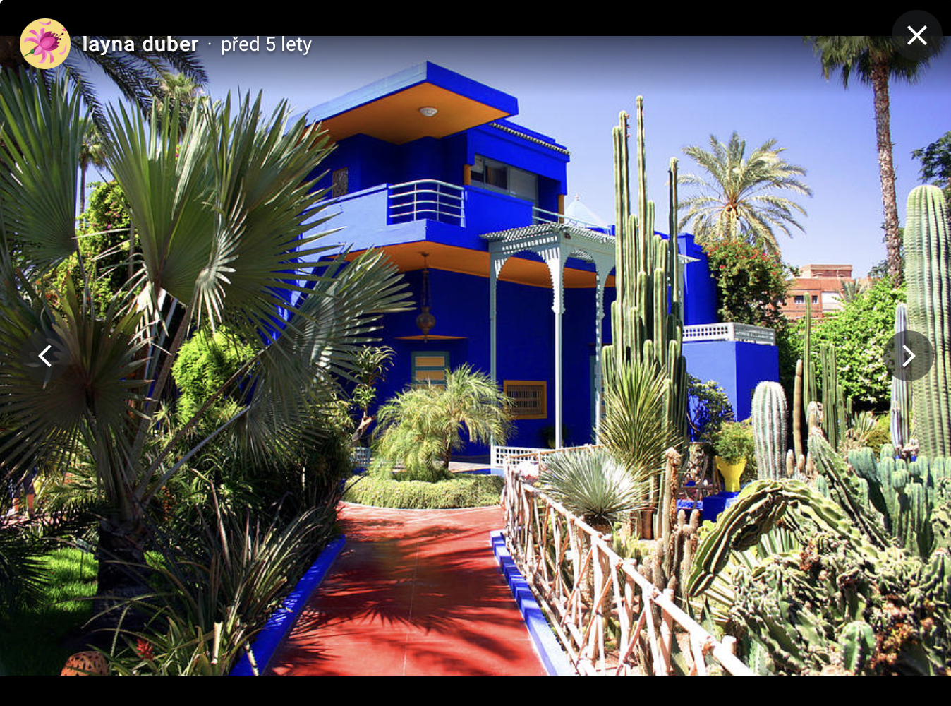 Jardin Majorelle v Marrákeši - foto 3