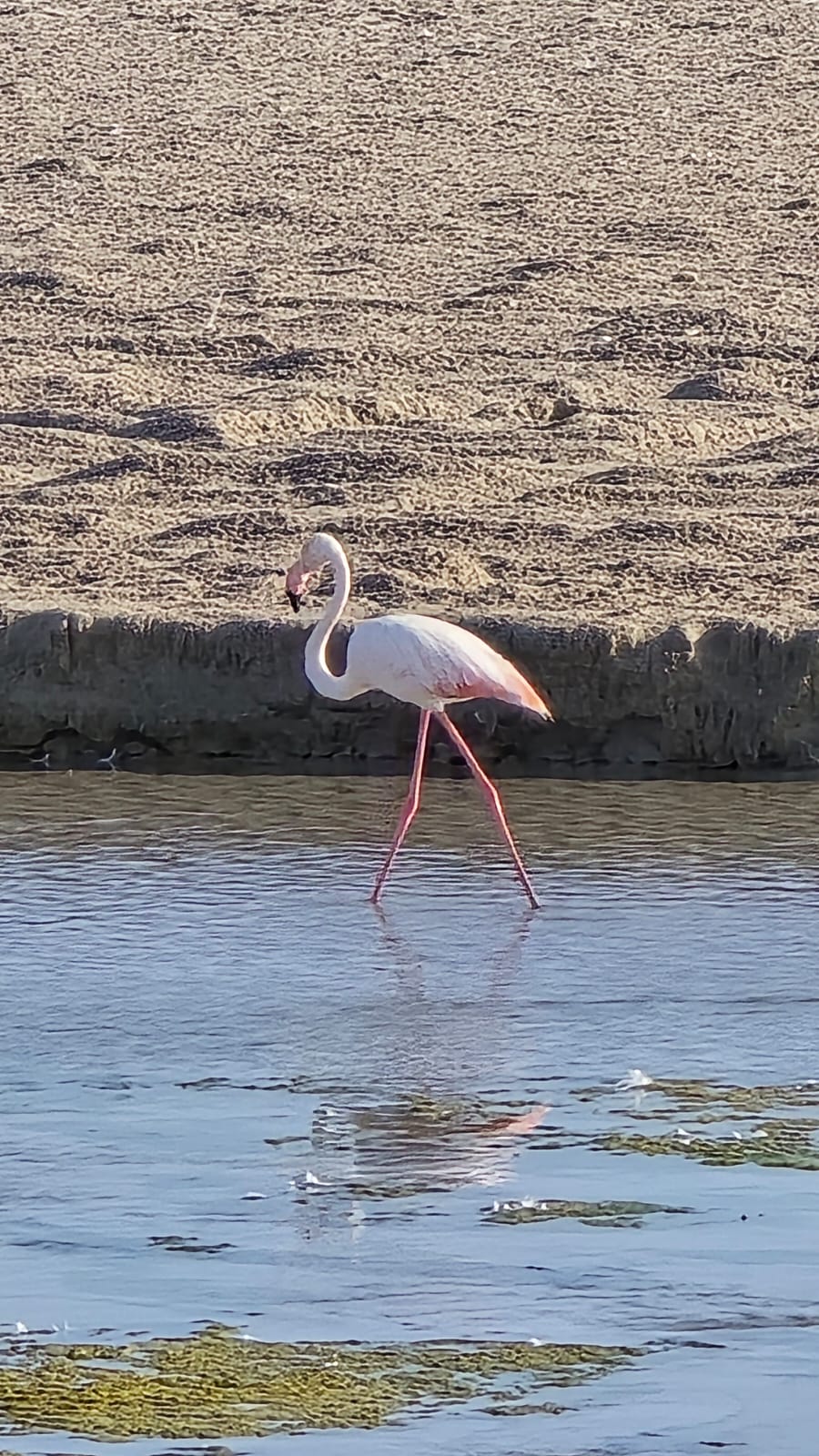 Výlety Omán Salalah