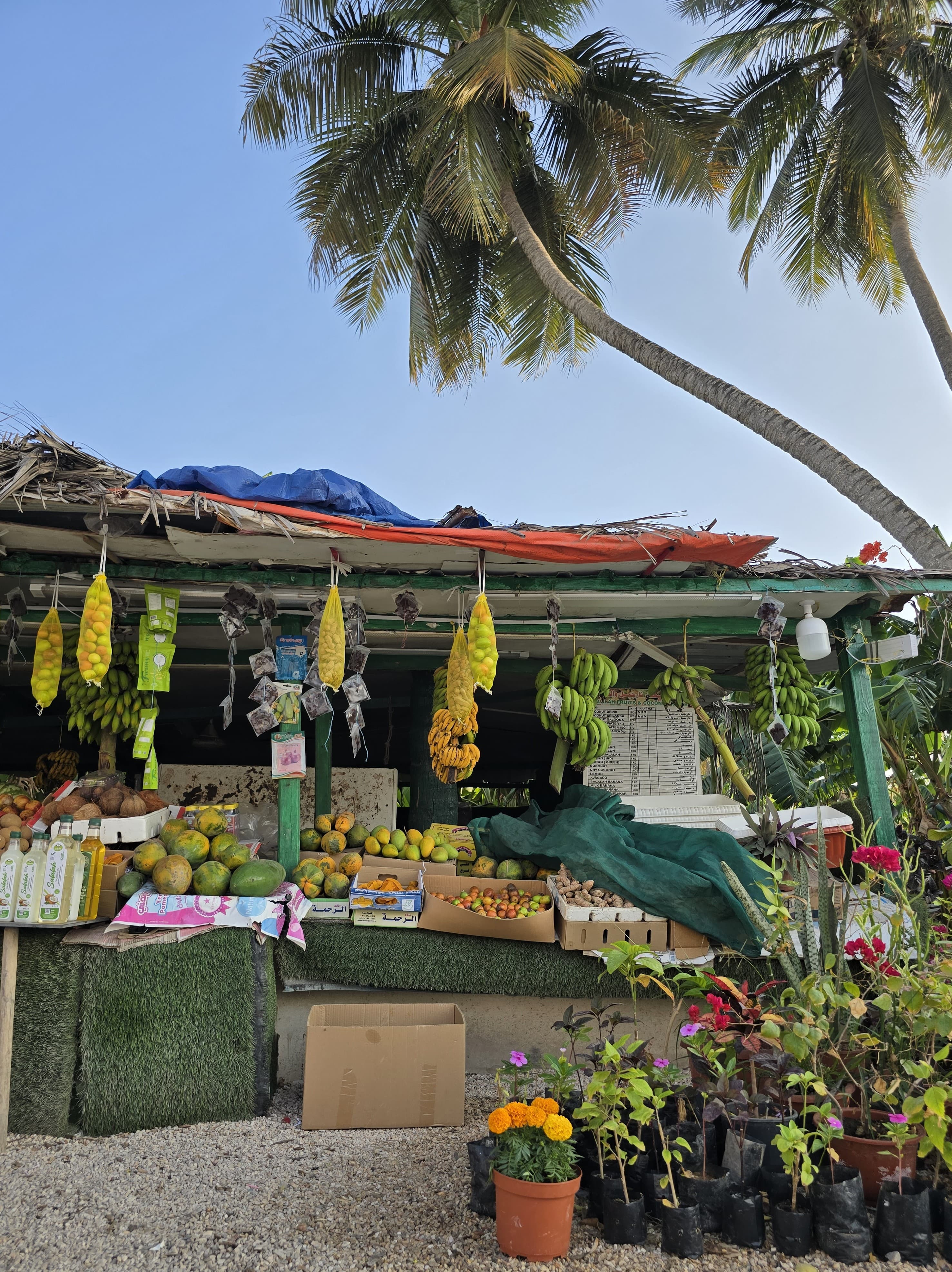 Výlety Omán Salalah