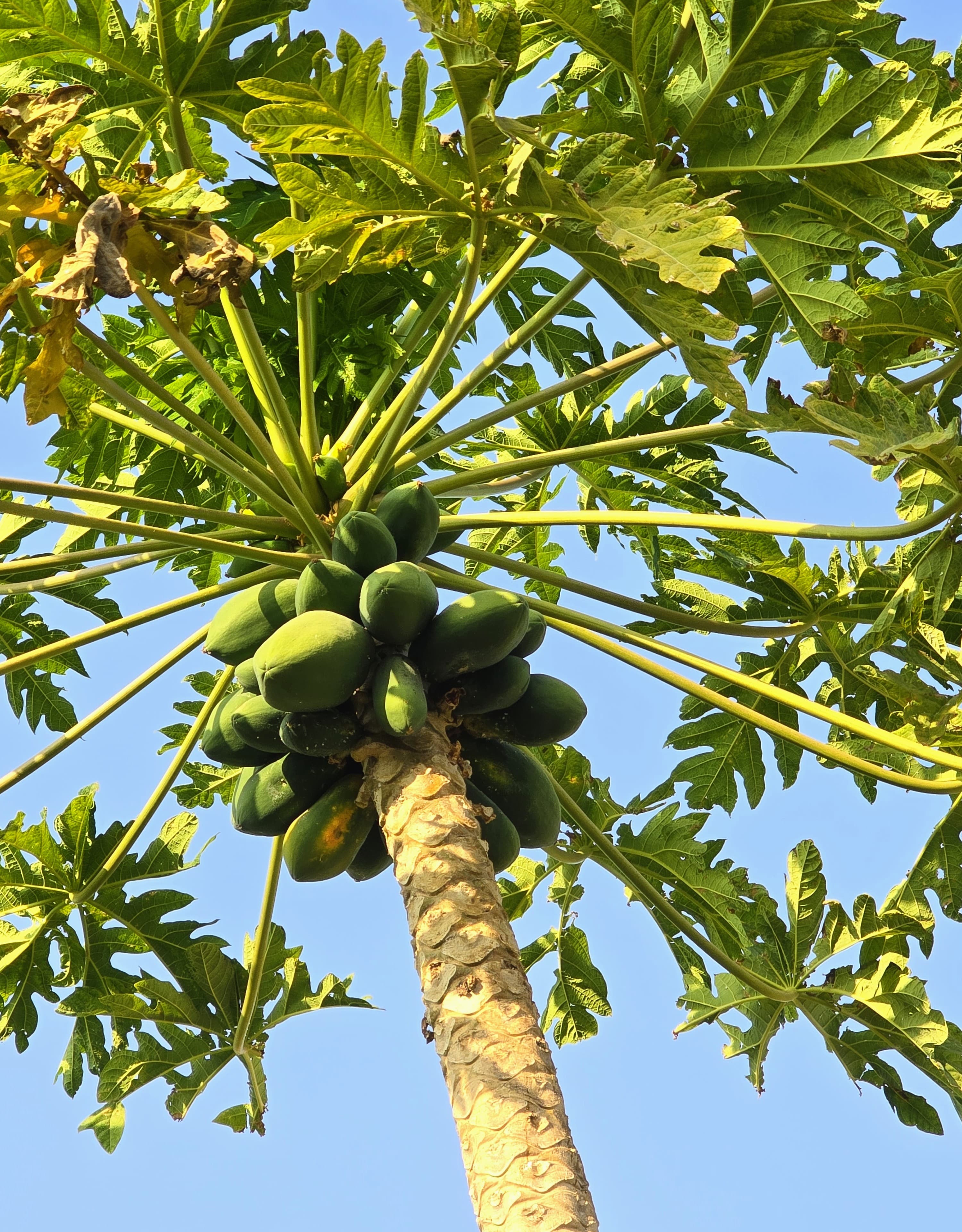 Výlety Omán Salalah