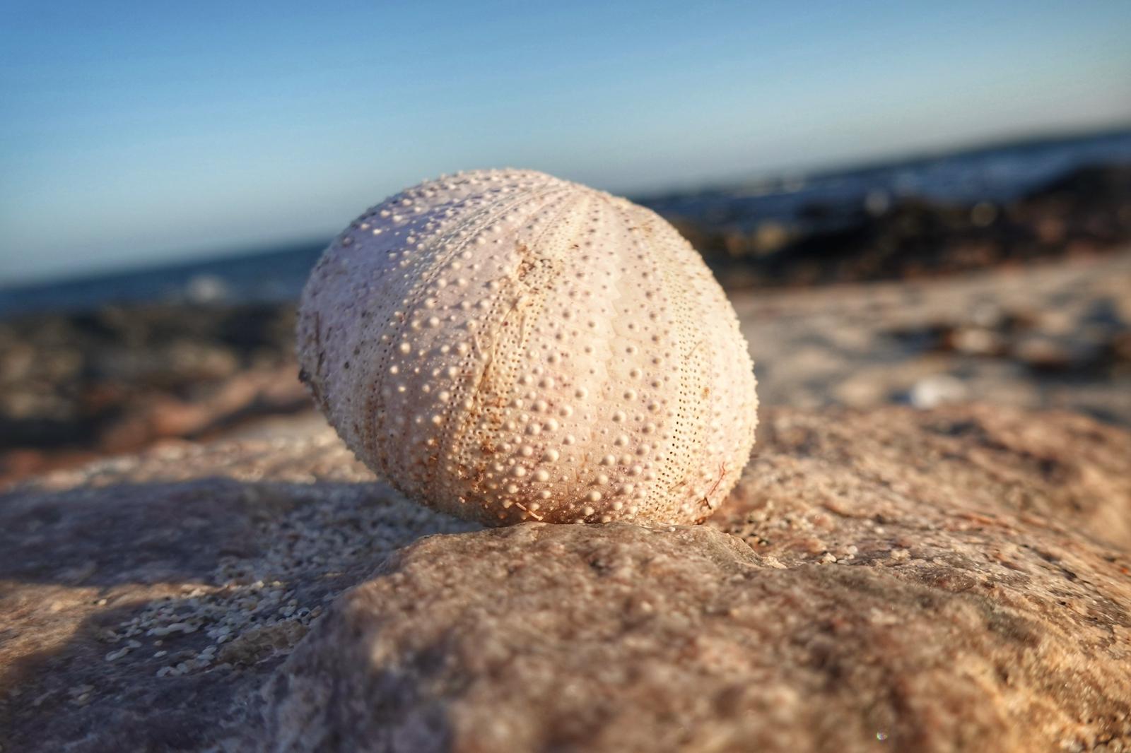 Výlety Omán Salalah