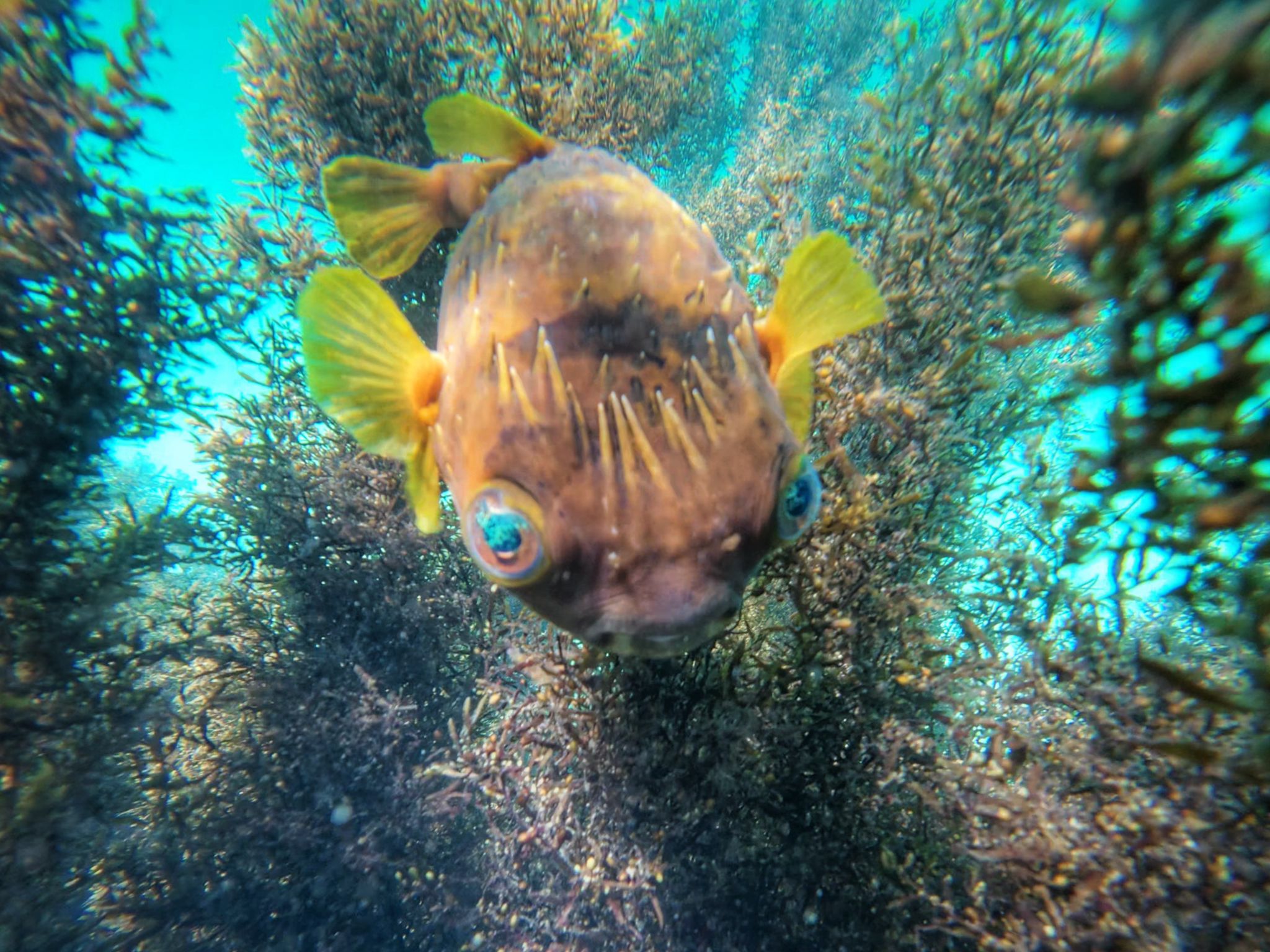 Výlety Omán Salalah