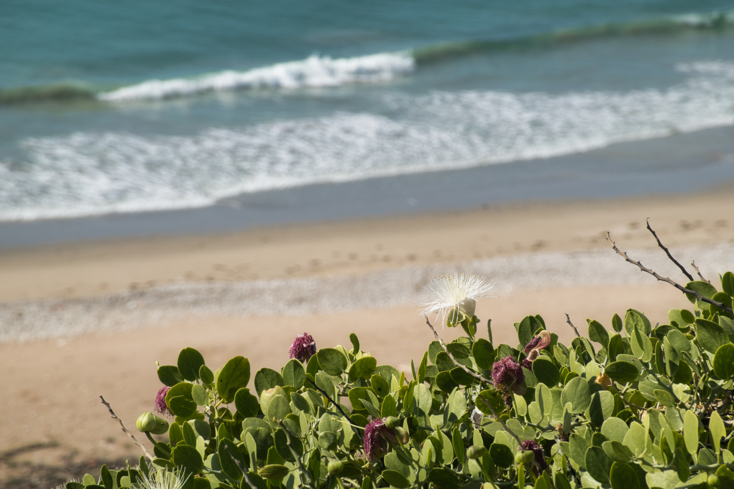 Výlety Omán Salalah