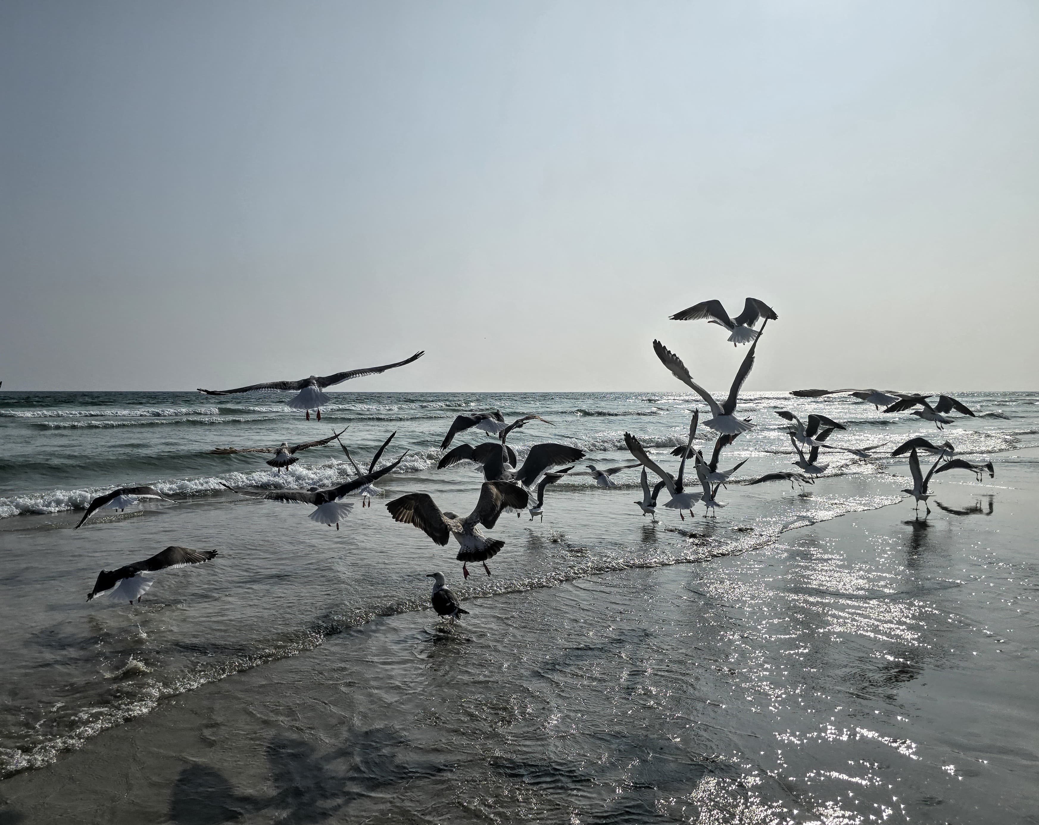 Výlety Omán Salalah