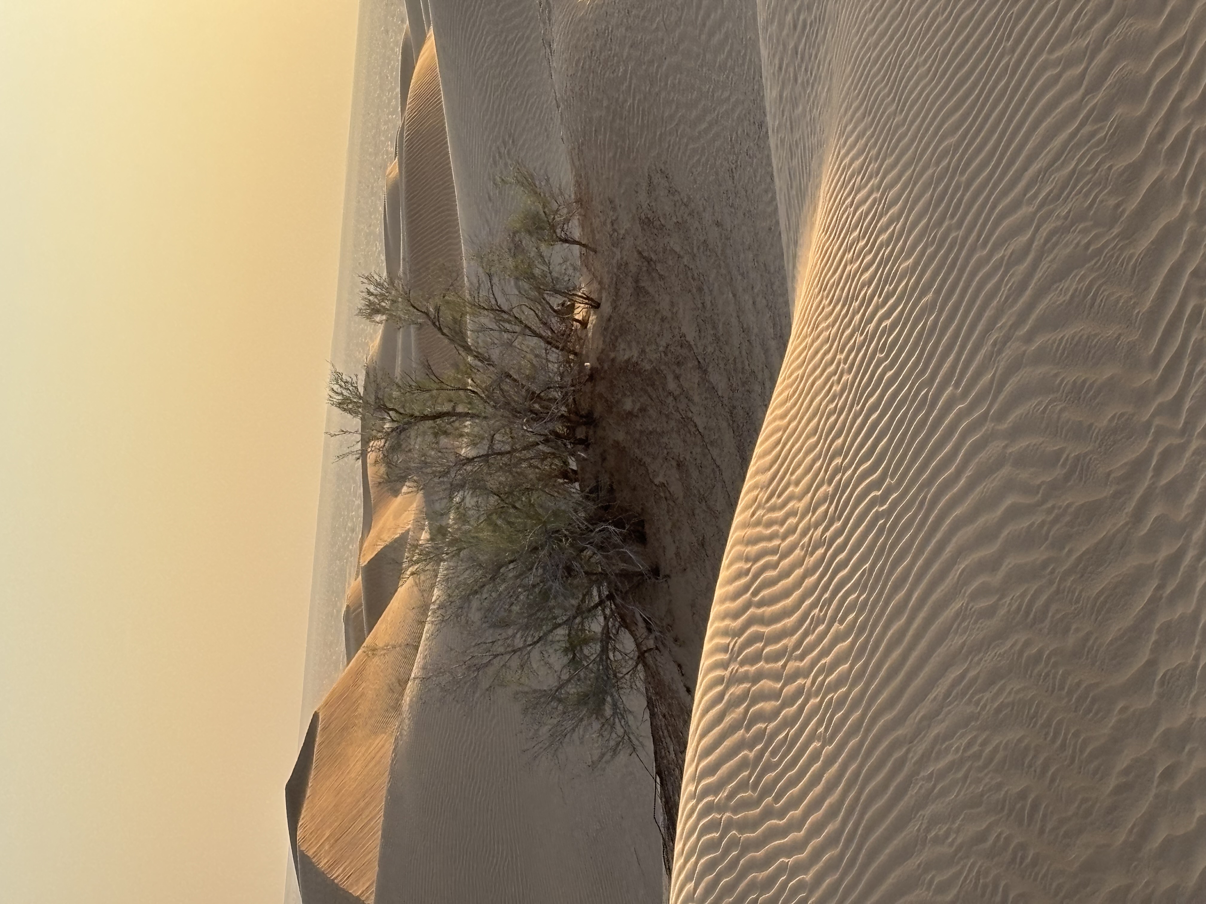 Výlety Omán Salalah