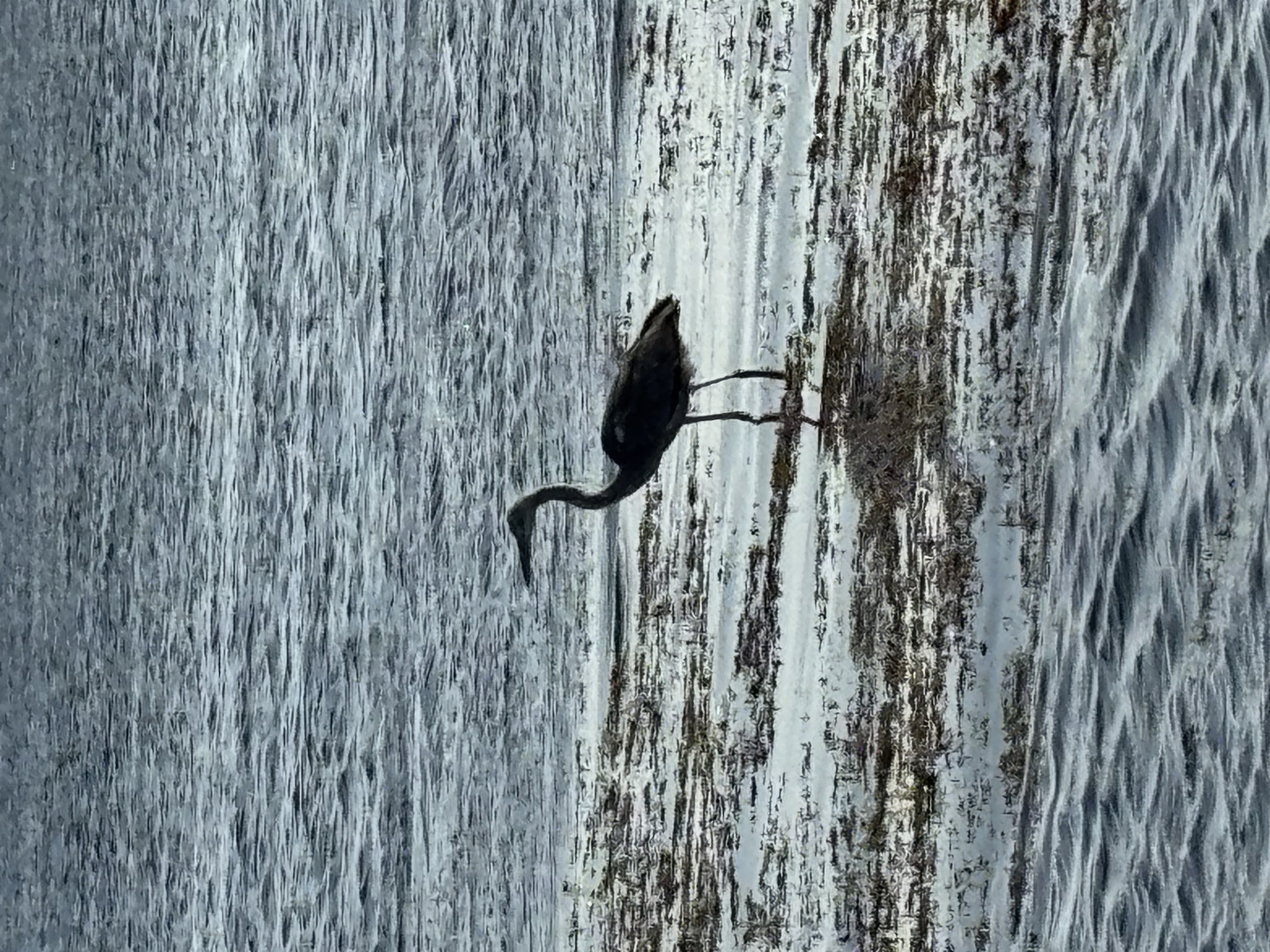 Hotel Wyndham Garden Mirbat *****