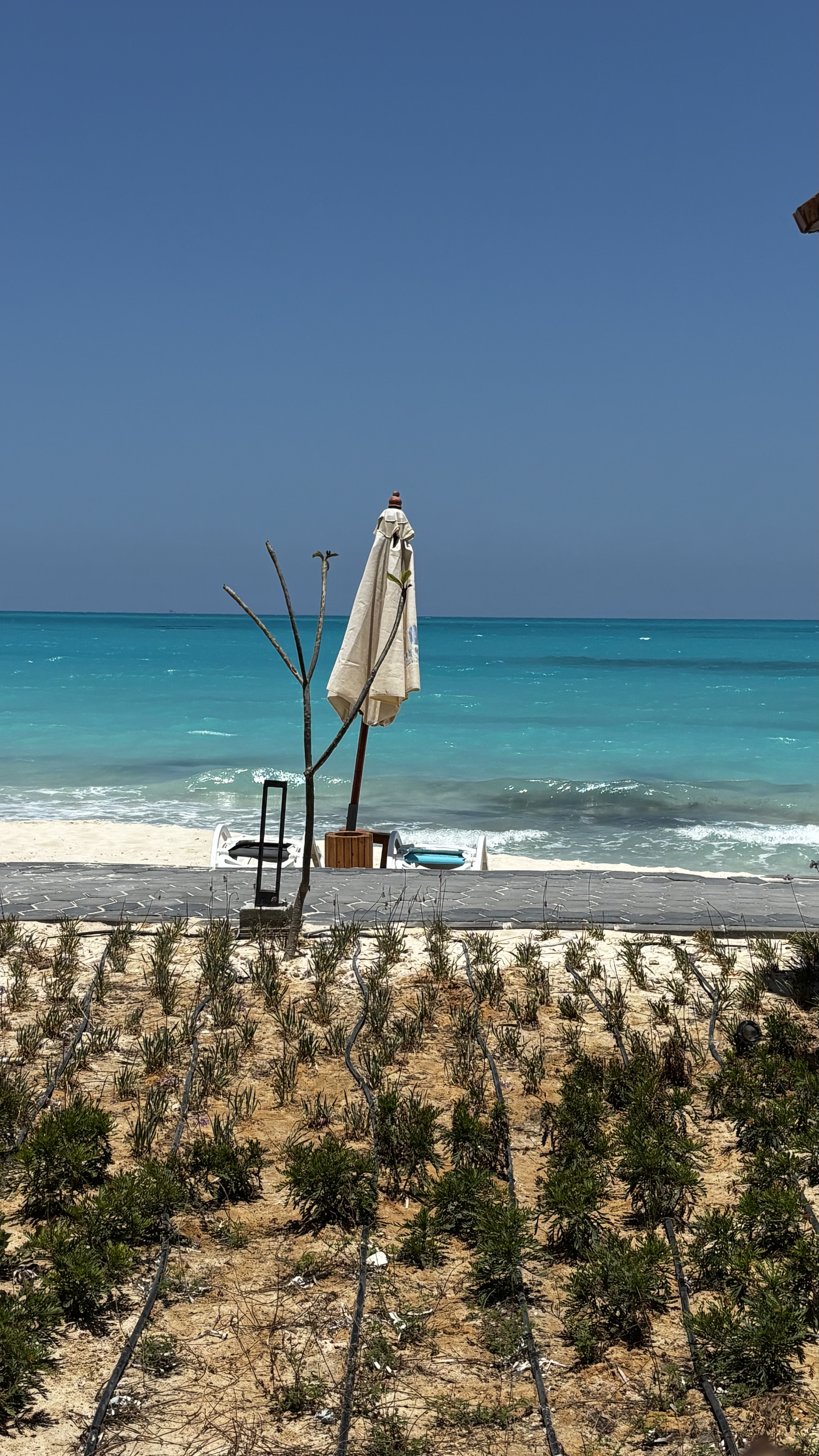 Egypt - Marsa Matrouh