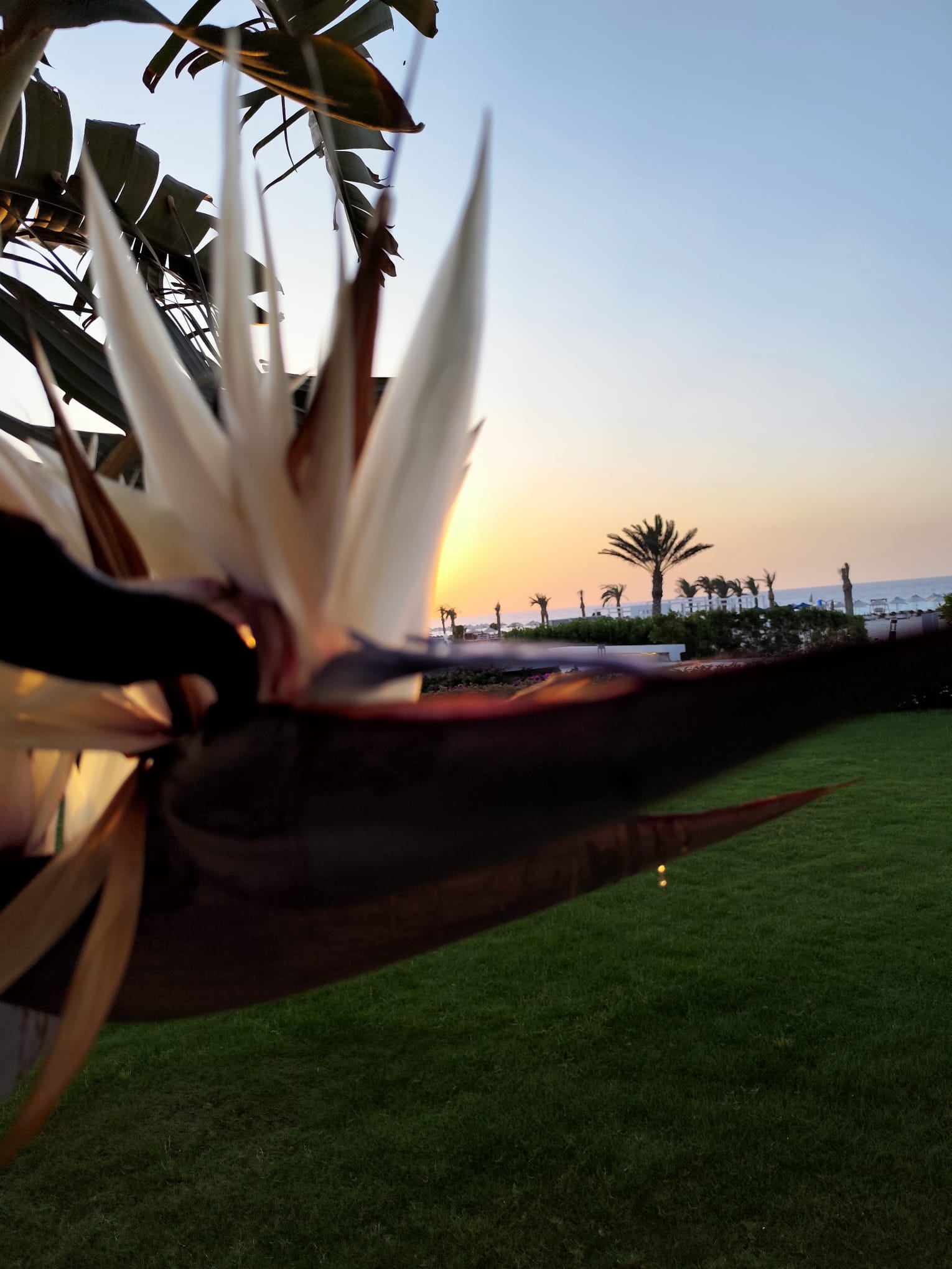 Egypt - Marsa Matrouh