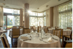 Hotel Tree of life - foto 3